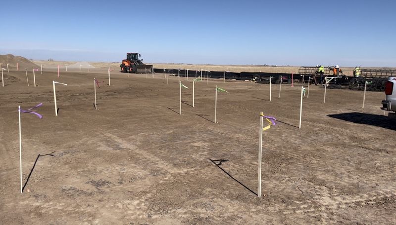 Rows of flagged lath stakes across a graded construction site, with a loader and crew in the background